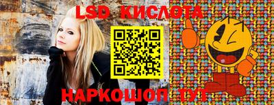 apvp Рыбинск