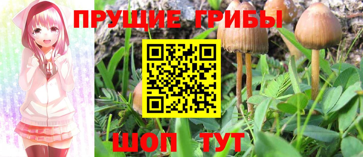Галлюциногенные грибы мухоморы  Псилоцибиновые грибы Cubensis  Саров  Вход с VPN 