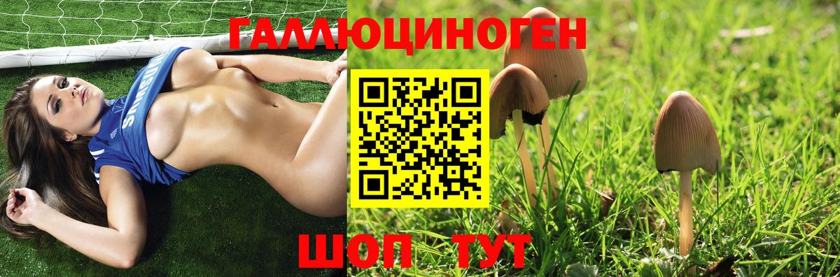 Псилоцибиновые грибы ЛСД Саров