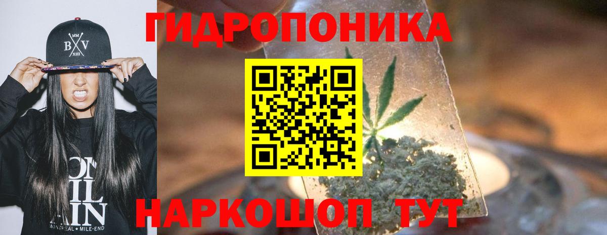 Конопля семена  Канабис конопля  Вход с VPN  Саров  Марихуана план 